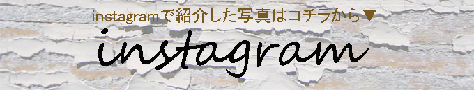 インスタ掲載写真紹介ページ