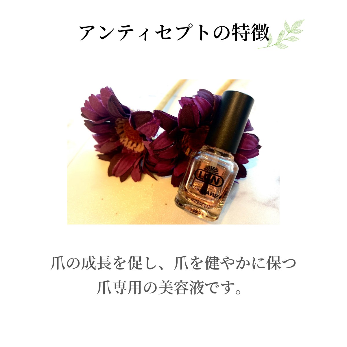 LCN アンティセプト内容量16ml